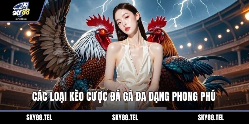 Các loại kèo cược đá gà đa dạng phong phú