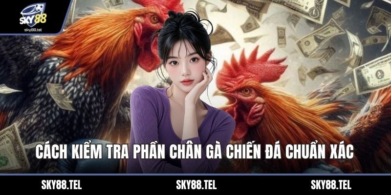 Cách kiểm tra phần chân gà chiến đá chuẩn xác