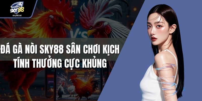 Đá gà nòi Sky88