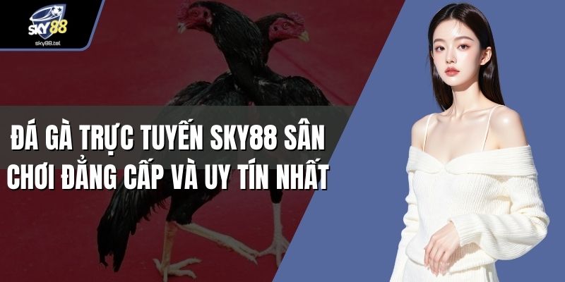 Đá gà trực tuyến Sky88