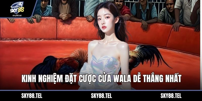 Kinh nghiệm đặt cược cửa Wala dễ thắng nhất