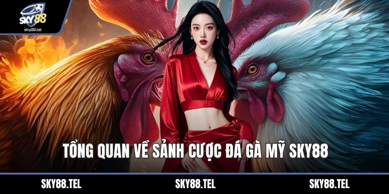 Tổng quan về sảnh cược đá gà Mỹ Sky88